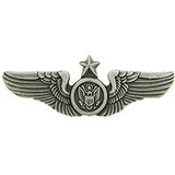 Eagle Emblems P14216 Wing-Usaf, Aircrew, Senior (Mini) (1-1/4