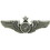 Eagle Emblems P14216 Wing-Usaf, Aircrew, Senior (Mini) (1-1/4")