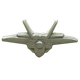 Eagle Emblems P14234 Pin-Apl, F-022 Raptor (Pwt) (1-1/2")