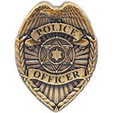Eagle Emblems P14253 Pin-Bdg,Police Officer (1