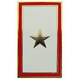 Eagle Emblems P14261 Pin-Family Member Gold STAR HONOR KIA, (1