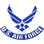 Eagle Emblems P14276 Pin-Usaf Symbol Ii (1")