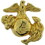 Eagle Emblems P14280 Pin-Usmc,Emblem,A1, Right MINI-GOLD, (1/2")