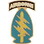 Eagle Emblems P14656 Pin-Special Forces, A/B (1")