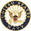 Eagle Emblems P14769 Pin-Usn Logo B (Sml) (3/4")
