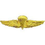 Eagle Emblems P14806 Wing-Usn/Usmc,Para,Basic (GLD-MINI), (1-3/8