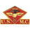 Eagle Emblems P15016 Pin-Usmc, 001St Mc Wing (1-3/8")