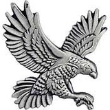 Eagle Emblems P15201 Pin-Bird, Falcon, Right. (1