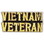 Eagle Emblems P15206 Pin-Viet,Scr,Vietnam Vet (1")