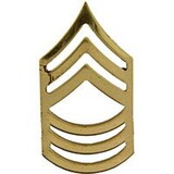 Eagle Emblems P15255 Rank-Army, E8, Mast.Sgt. (Gld) (1