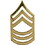 Eagle Emblems P15255 Rank-Army, E8, Mast.Sgt. (Gld) (1")