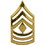 Eagle Emblems P15256 Rank-Army, E8, 1St Sgt (Gld) (1")
