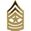 Eagle Emblems P15257 Rank-Army,E9,Staf.Sgt.Maj (GLD), (13/16" x 1-1/2")