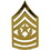 Eagle Emblems P15258 Rank-Army,E9,Cmd.Sgt.Maj. (GLD), (13/16" x 1-1/2")