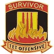 Eagle Emblems P15290 Pin-Viet,Tet Off.Survivor (1")