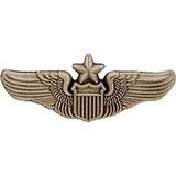 Eagle Emblems P15442 Wing-Usaf, Pilot, Senior (Mini) (1-1/4