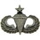 Eagle Emblems P15571 Wing-Army, Para, Senior (1")