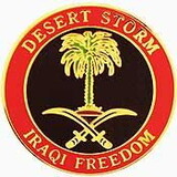 Eagle Emblems P15573 Pin-Dest.Storm, Iraq/Kuwai (1