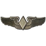 Eagle Emblems P15787 Wing-Army/Air Force,Wasp,Woman (MINI), (1-1/4