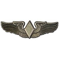 Eagle Emblems P15787 Wing-Army/Air Force,Wasp,Woman (MINI), (1-1/4")