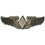 Eagle Emblems P15787 Wing-Usaf, Wasp (Mini) (1-1/8")