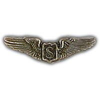 Eagle Emblems P15788 Wing-Usaf,Pilot,Service (MINI), (1-1/4")