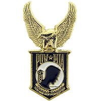 Eagle Emblems P15821 Pin-Pow*Mia, Eagle Wings (1")