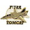 Eagle Emblems P15900 Pin-Apl, F-014A Tomcat (1-1/2")
