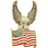 Eagle Emblems P15982 Pin-Usa, Flag, Eagle, On Top (1-1/8")