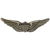 Eagle Emblems P16001 Wing-Army, Aviator, Basic (2-5/8