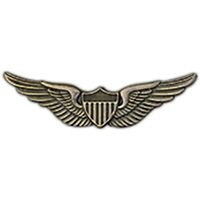Eagle Emblems P16001 Wing-Army,Aviator,Basic (2-9/16")