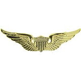 Eagle Emblems P16013 Wing-Army,Aviator,Basic (GLD), (2-9/16