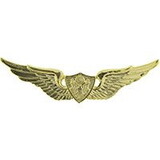 Eagle Emblems P16014 Wing-Army, Aircrew, Basic (Gld) (2-5/8