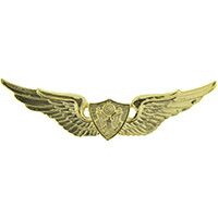 Eagle Emblems P16014 Wing-Army,Aircrew,Basic (GLD), (2-1/2")