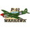 Eagle Emblems P16028 Pin-Apl, P-40 Warhawk (Pwt) (2-1/4")