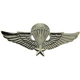 Eagle Emblems P16043 Wing-Viet, Para/Jump, Basic (2-1/2