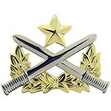 Eagle Emblems P16053 Bdg-Army, Ranger Qualif. (2