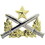Eagle Emblems P16053 Bdg-Army,Ranger Qualification (2")