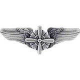 Eagle Emblems P16059 Wing-Usaf, Flt.Engineer (3