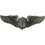 Eagle Emblems P16060 Wing-Army, Glider Pilot (3")