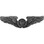 Eagle Emblems P16064 Wing-Usaf, Aircrew, Basic (3")