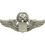 Eagle Emblems P16066 Wing-Usaf, Pilot, Master (3")
