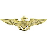 Eagle Emblems P16069 Wing-Usn/Usmc, Aviator (Lrg) (2-3/4