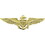Eagle Emblems P16069 Wing-Usn/Usmc, Aviator (Lrg) (2-3/4")