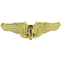 Eagle Emblems P16074 Wing-Usaf,Gunner,Aerial- GOLD, (2-3/4")