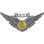 Eagle Emblems P16096 Wing-Usn, Combat Aircrew (2")