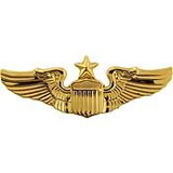 Eagle Emblems P16108 Wing-Usaf, Pilot, Senior (Gold) (3
