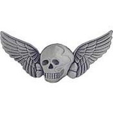 Eagle Emblems P16118 Wing-Death, Skull, Xlg, Pwt (3