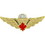 Eagle Emblems P16122 Wing-Canadian, Jump (Gld/Red) (2-1/2")
