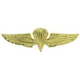 Eagle Emblems P16124 Wing-Usn/Usmc, Para, Basic (Gld-Lrg) (2-3/4
